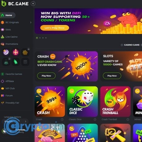 BC.Game Mirror Customer Support Your Comprehensive Guide